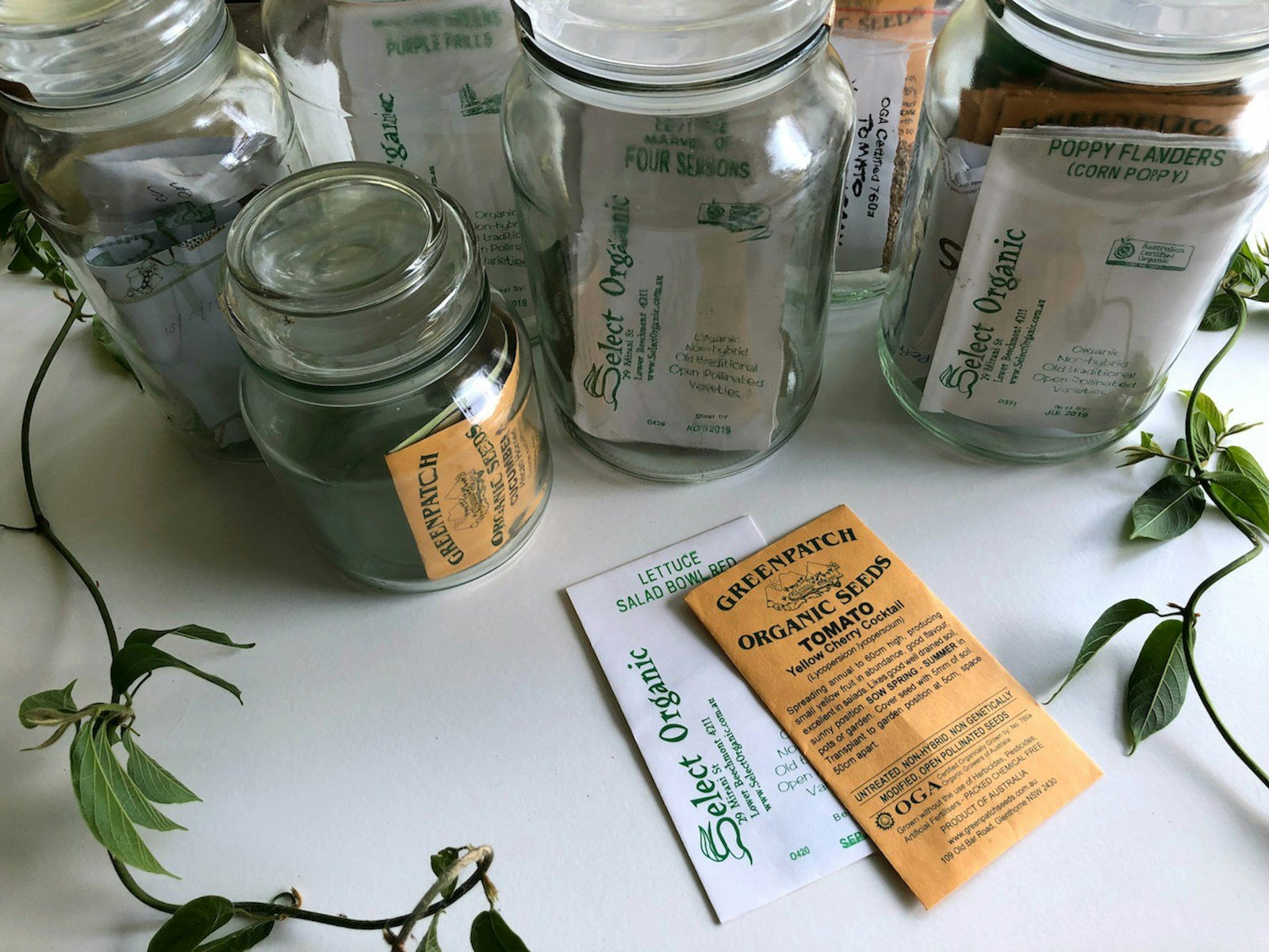 Bocaux de levain conservés au frais