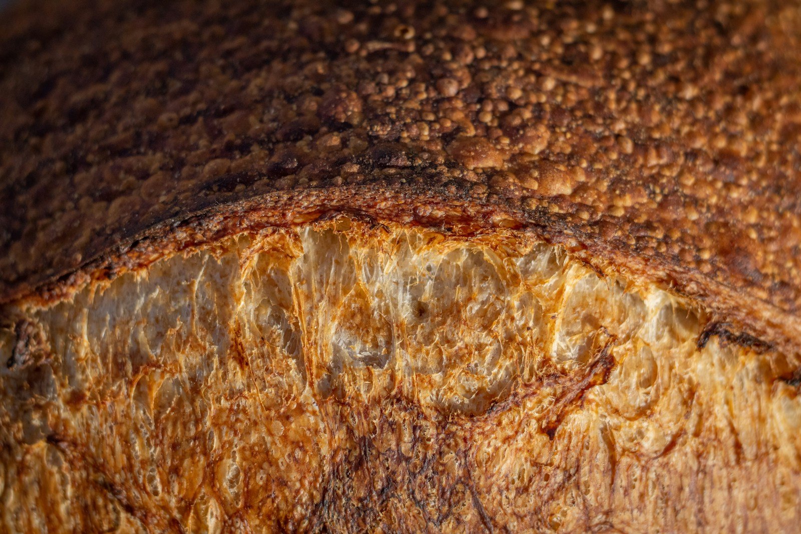 Croûte craquelée d'un pain tout juste sorti du four