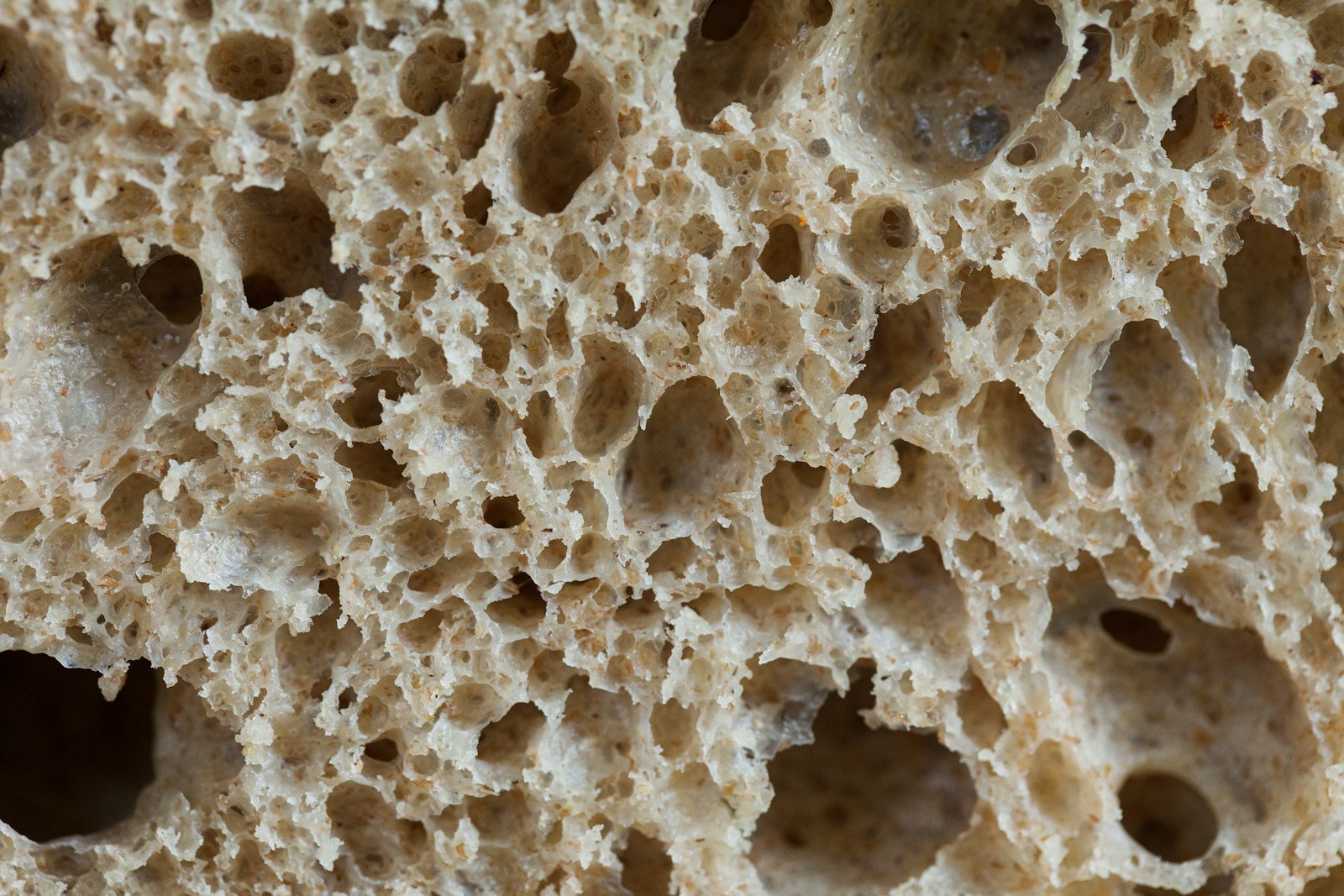 Mie alvéolée d'un pain au levain tranché