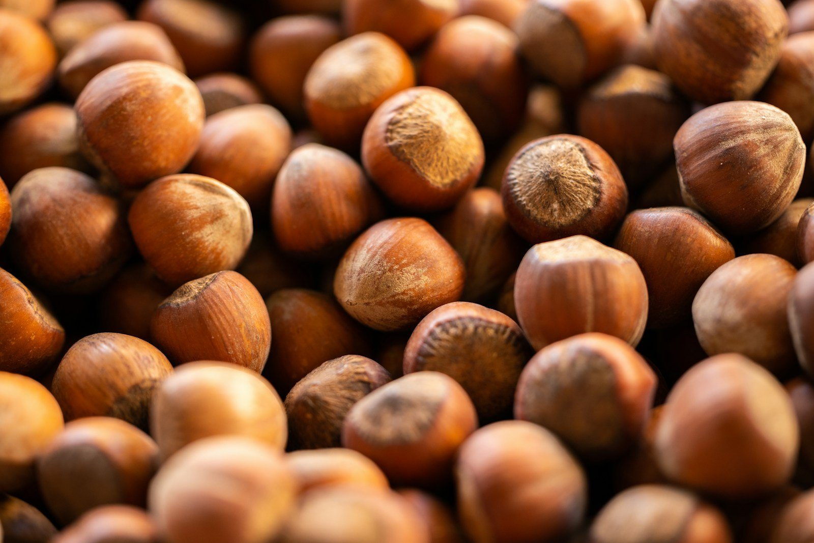 Amandes et noisettes torréfiées pour préparer le praliné