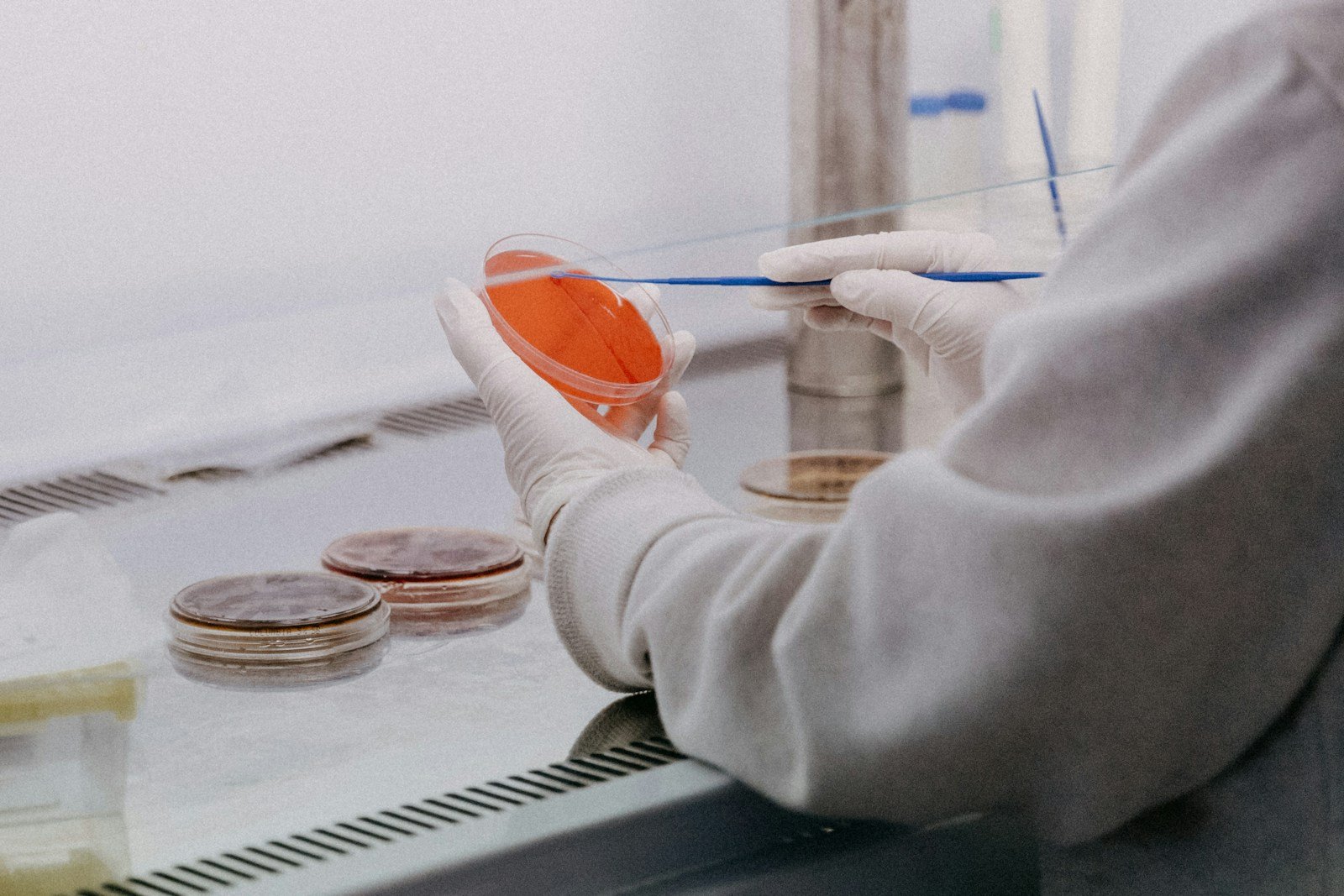 Analyse d'échantillons alimentaires en laboratoire